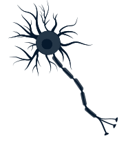 Cellule neurone
